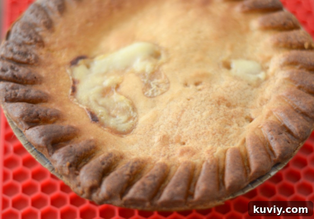 Perfect Air Fryer Frozen Pot Pie 4 Air fried chicken pot pie with overly browned edges