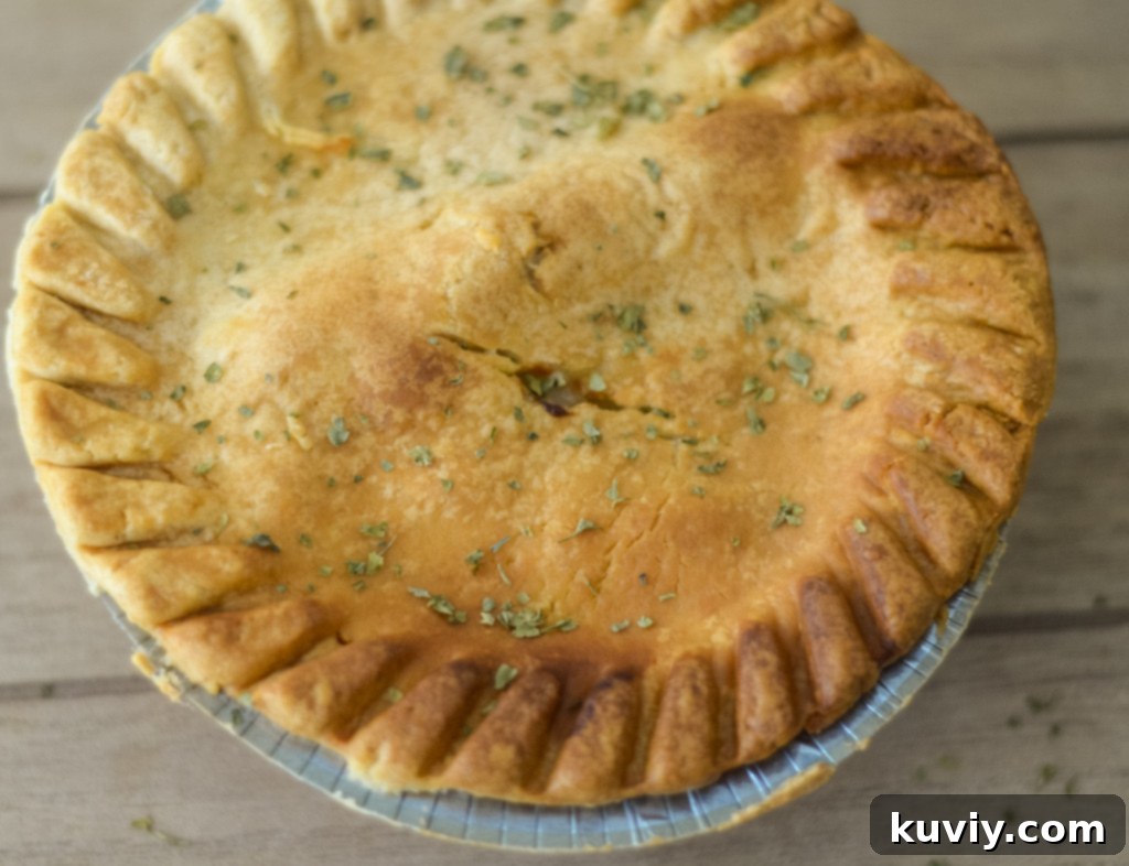Perfect Air Fryer Frozen Pot Pie 7 Air fryer cooking a chicken pot pie