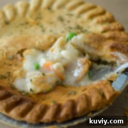 Perfect Air Fryer Frozen Pot Pie 9 img 7485 8