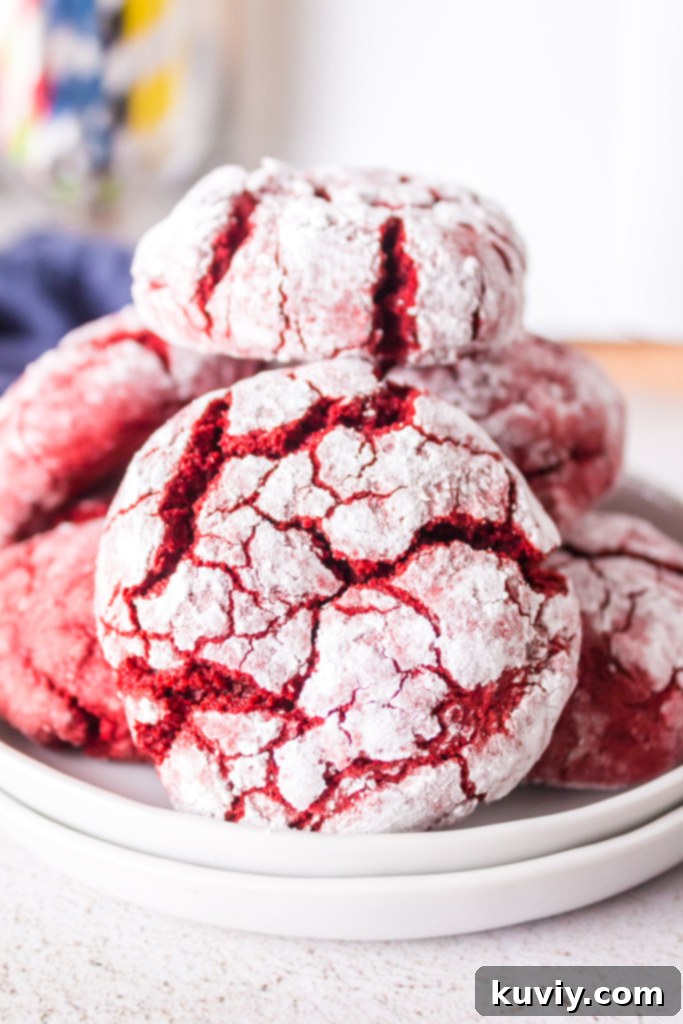 air fryer red velvet crinkle cookies, freshly baked and dusted with powdered sugar, ready to eat