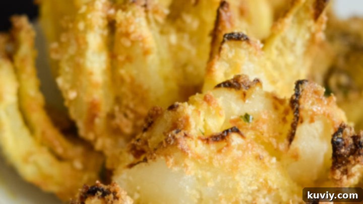 The best Gluten-Free Air Fried Blooming Onion.