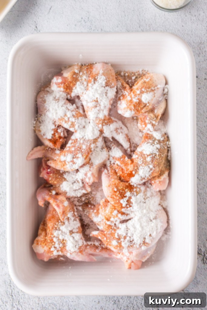 Seasoned Air Fryer Crispy Chicken Wings ready for cooking