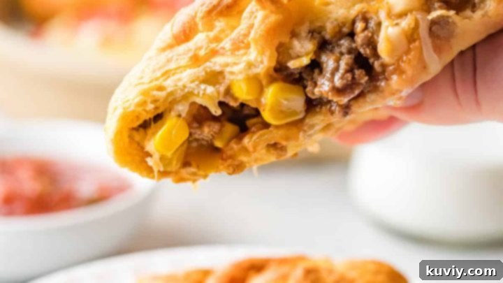 Air Fryer Taco Pockets, an easy kid-friendly meal