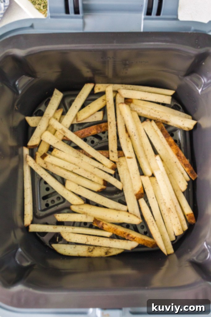 ninja foodi truffle fries, air fried