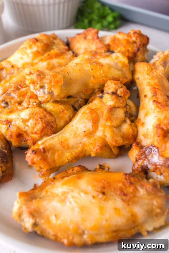 ninja speedi chicken wings