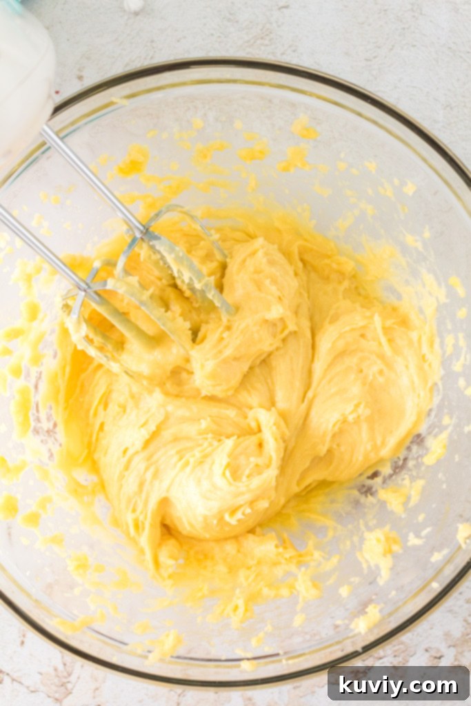 air fryer cinnamon sugar churros