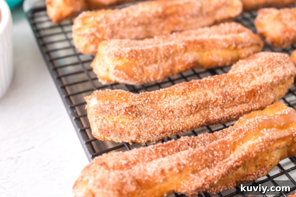 air fryer cinnamon sugar churros