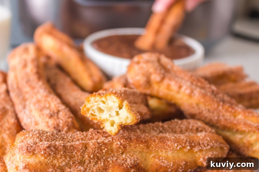 air fryer cinnamon sugar churros