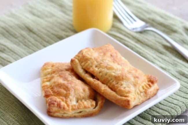 30+ Quick & Easy Air Fryer Breakfast Meals 20 Quick Air Fryer Breakfast Pockets – Hand Held Hot Breakfast Recipe!