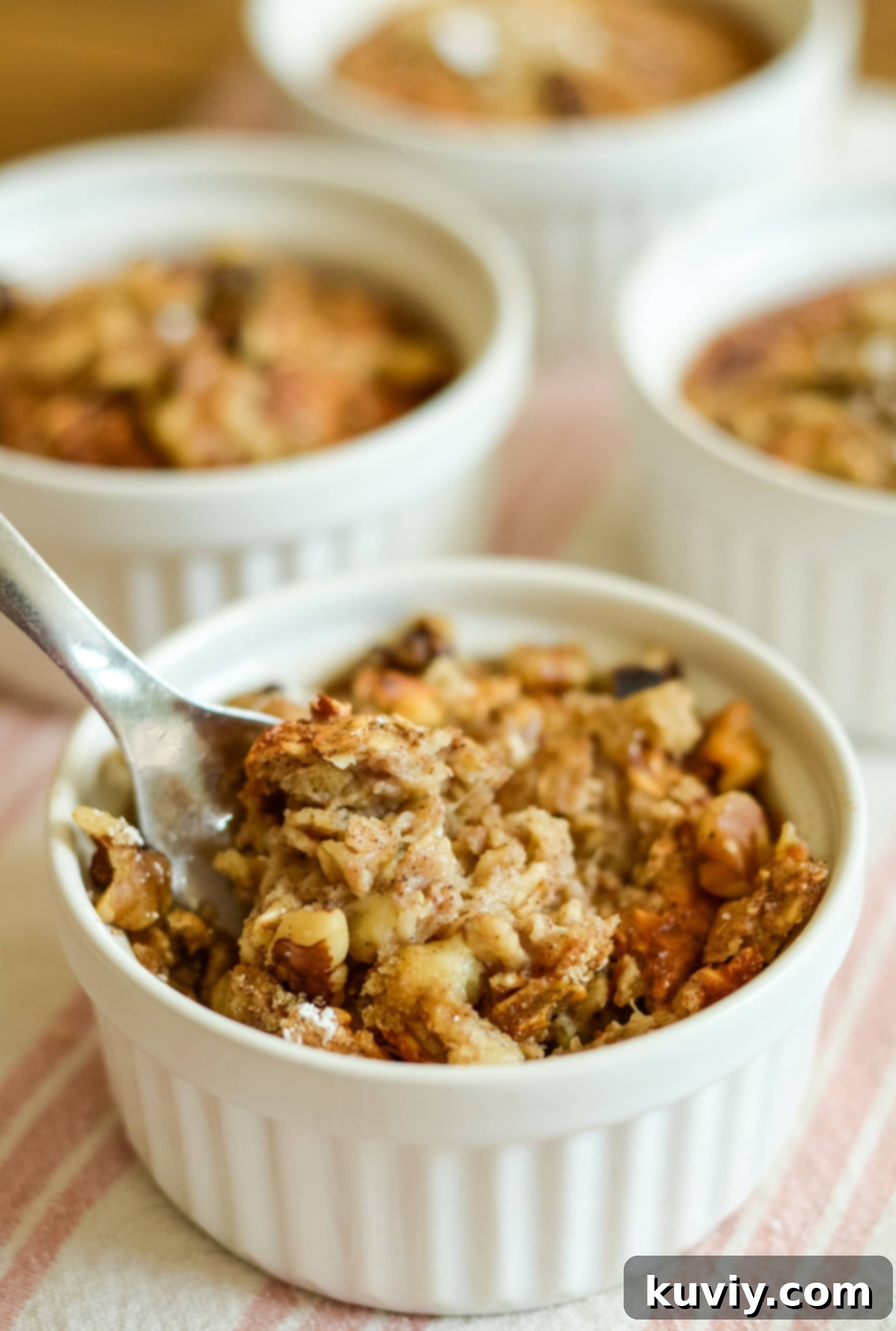 30+ Quick & Easy Air Fryer Breakfast Meals 30 Air Fryer Baked Oatmeal