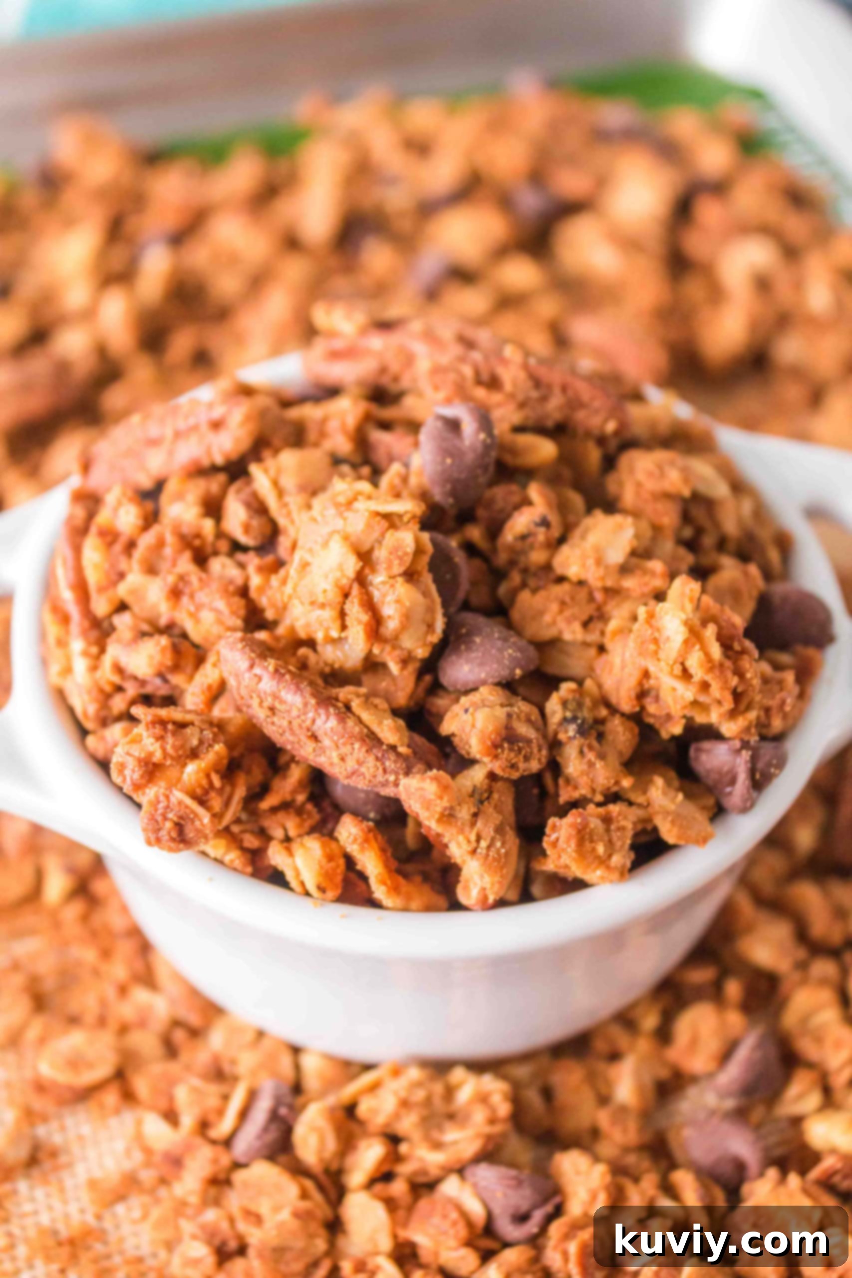 30+ Quick & Easy Air Fryer Breakfast Meals 35 Air Fryer Granola