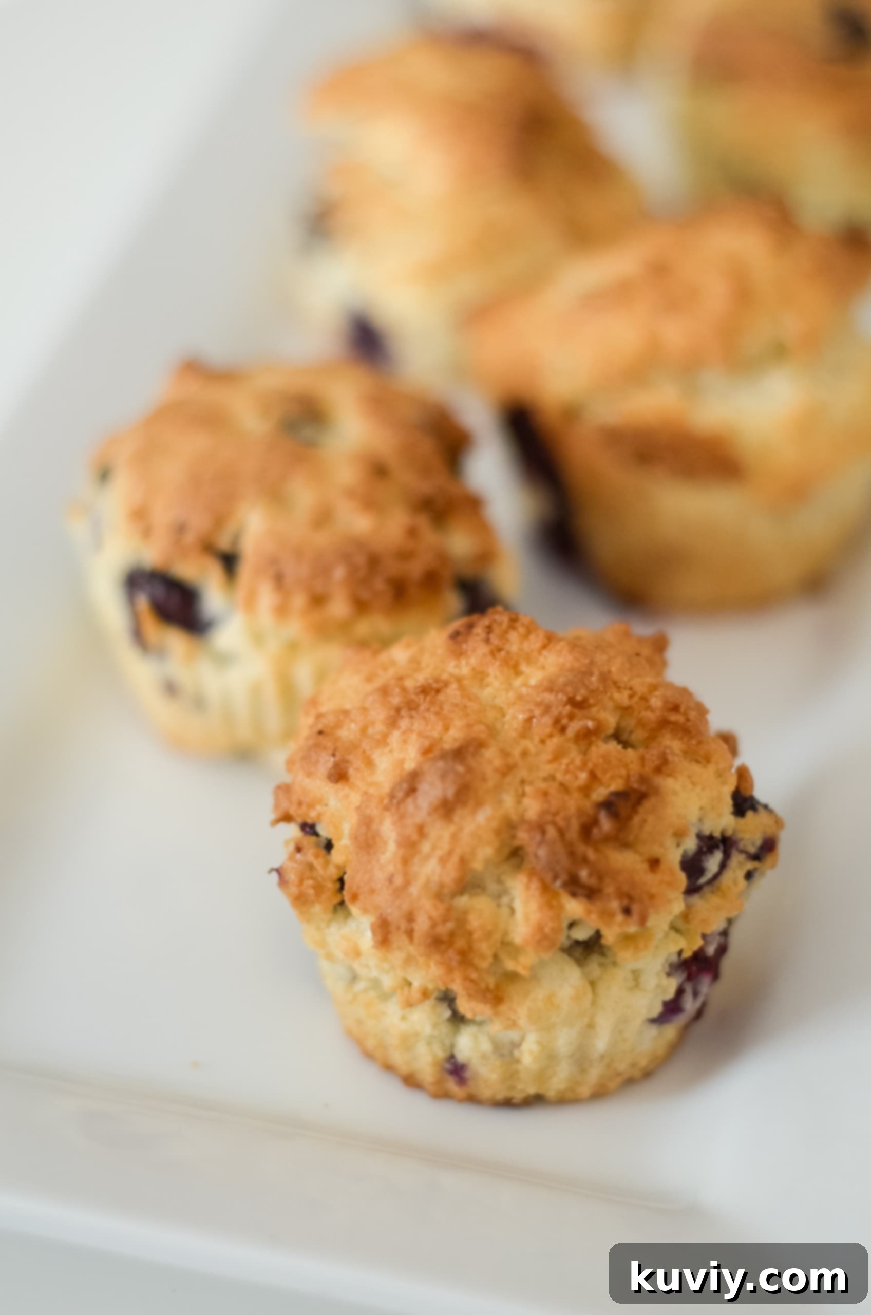 30+ Quick & Easy Air Fryer Breakfast Meals 38 Air Fryer Blueberry Muffins