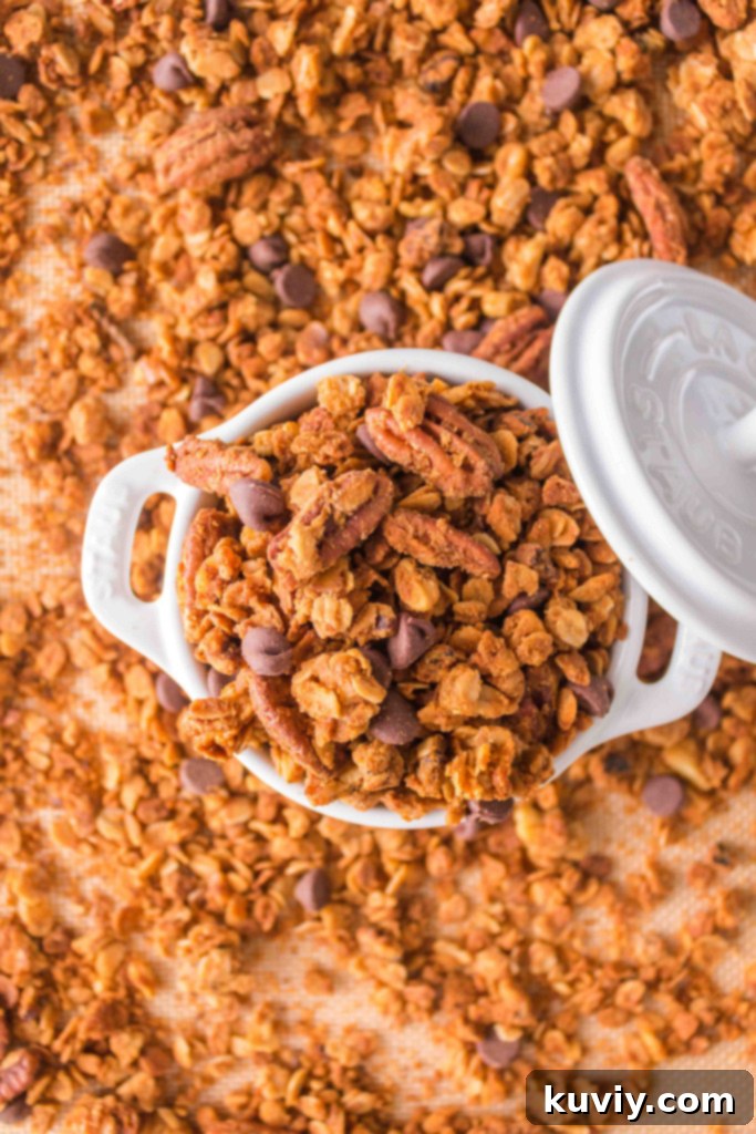 Perfectly crunchy air fryer granola ready to serve
