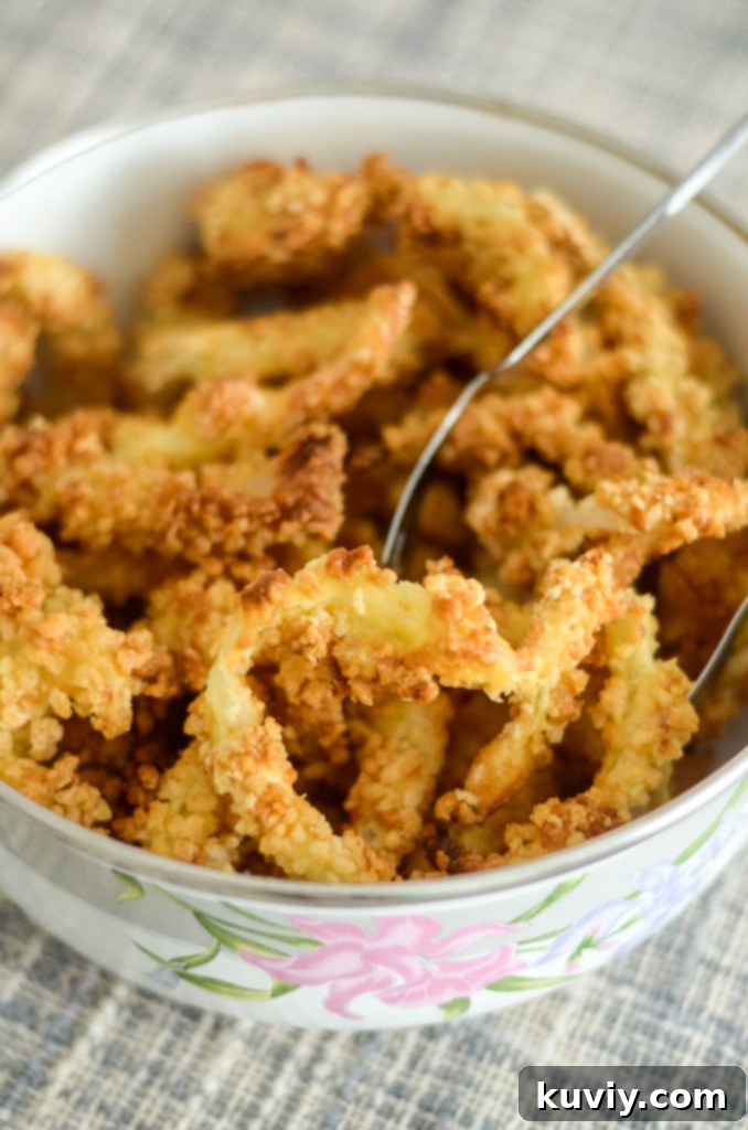 air fryer french fried onions