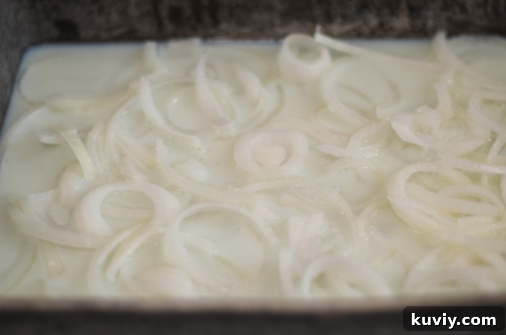air fryer french fried onions