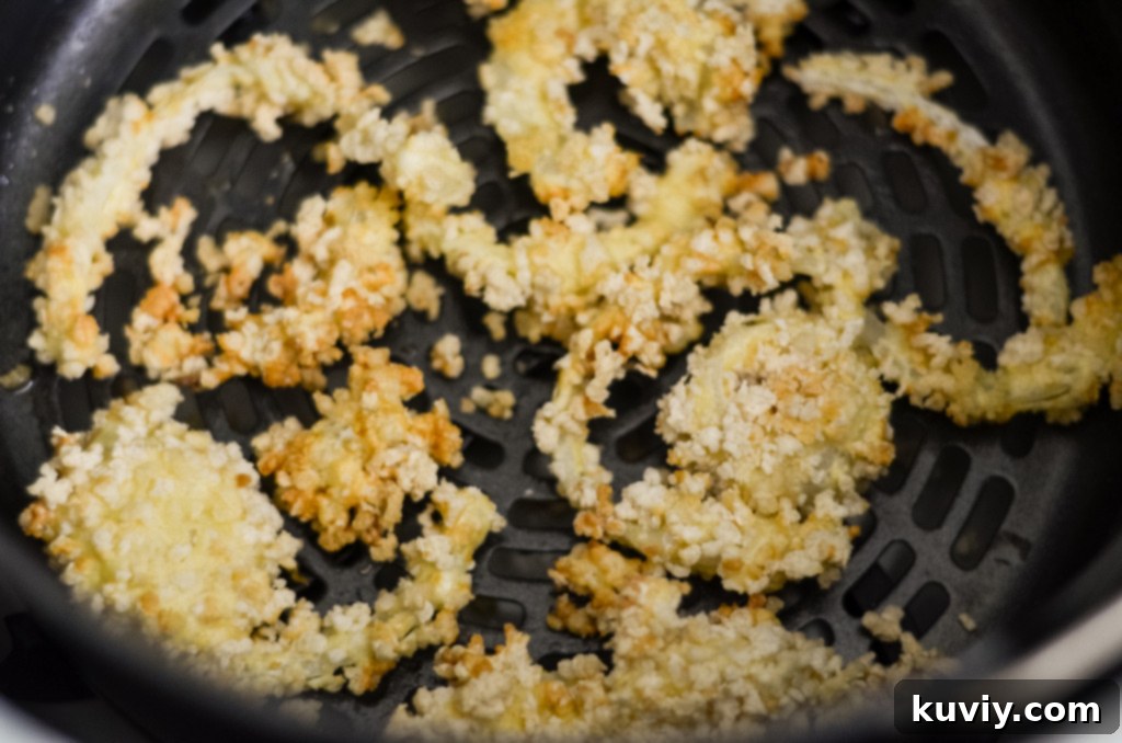 air fryer french fried onions