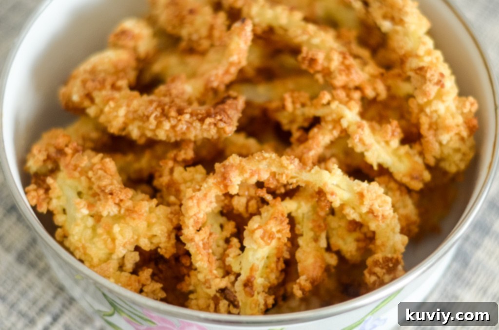 air fryer french fried onions