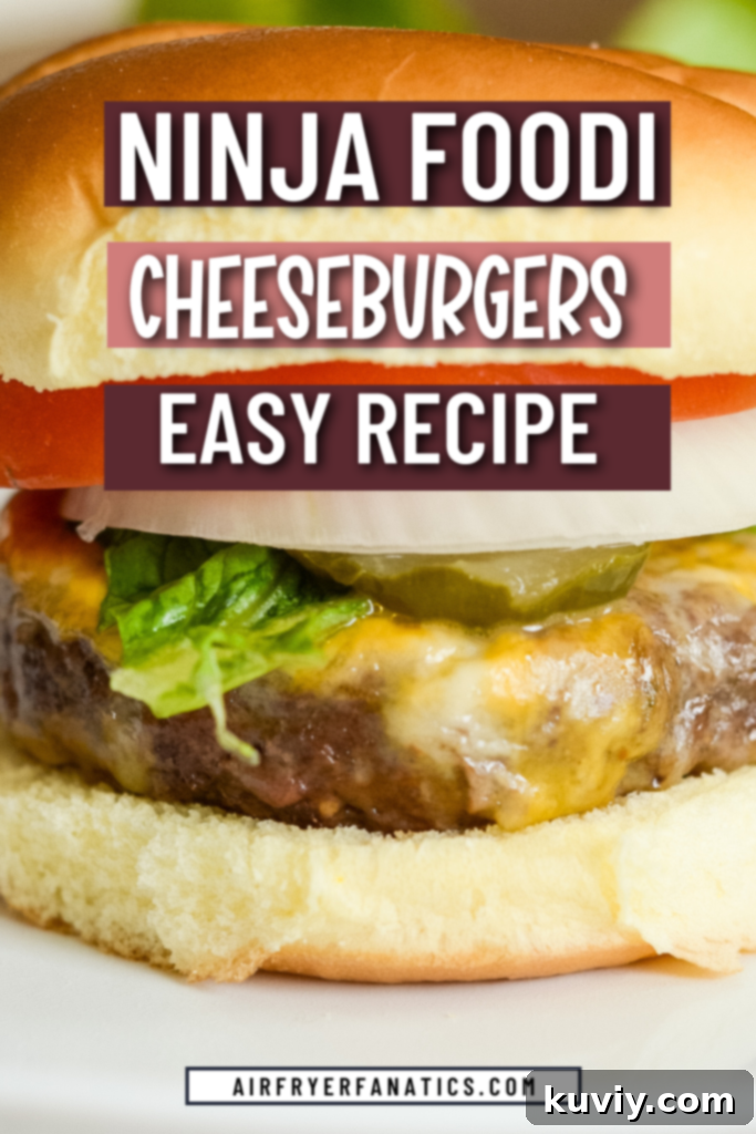 air fryer cheeseburger recipe
