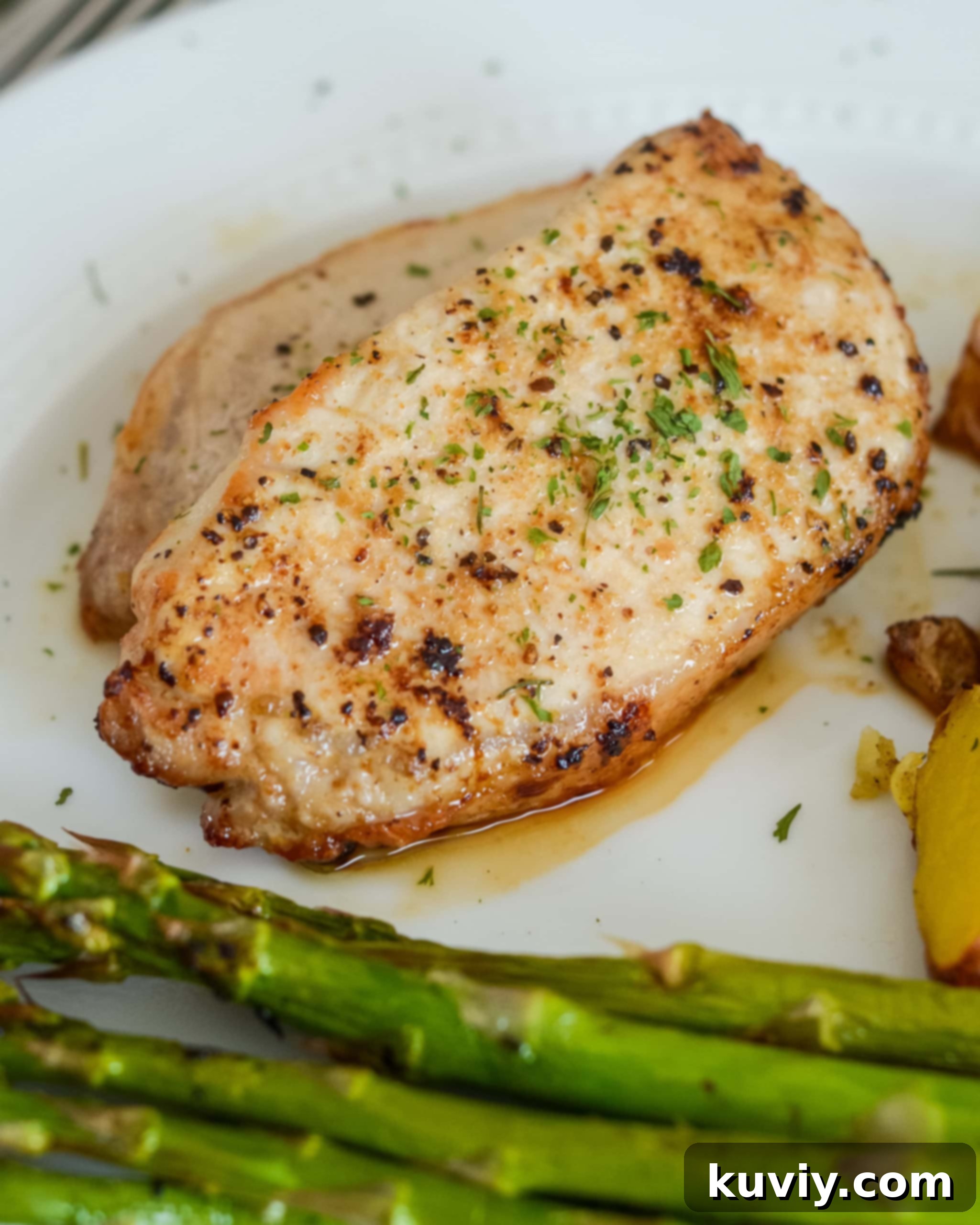 Quick Air Fryer Pork Chops