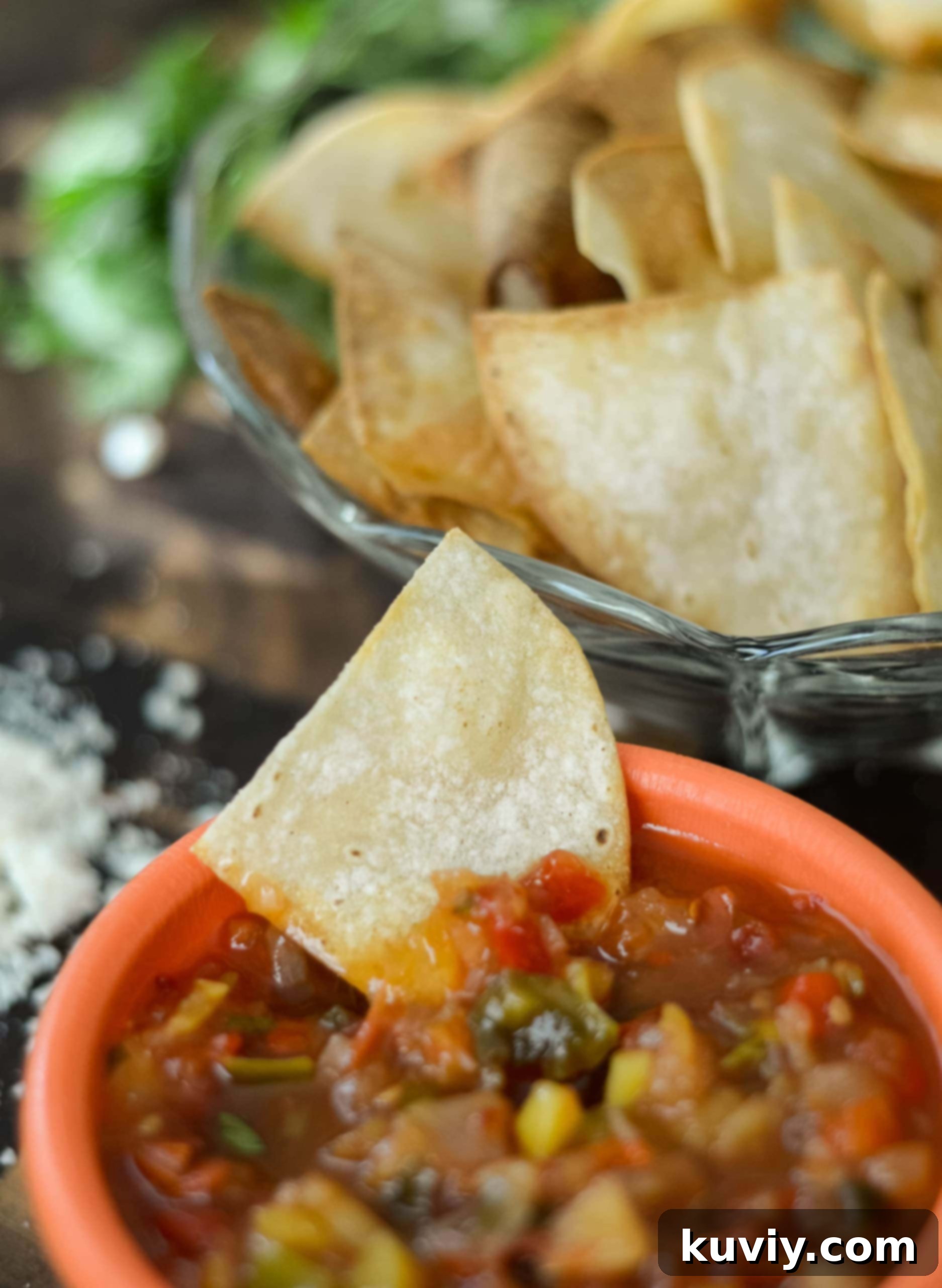 Easy Air Fryer Tortilla Chips