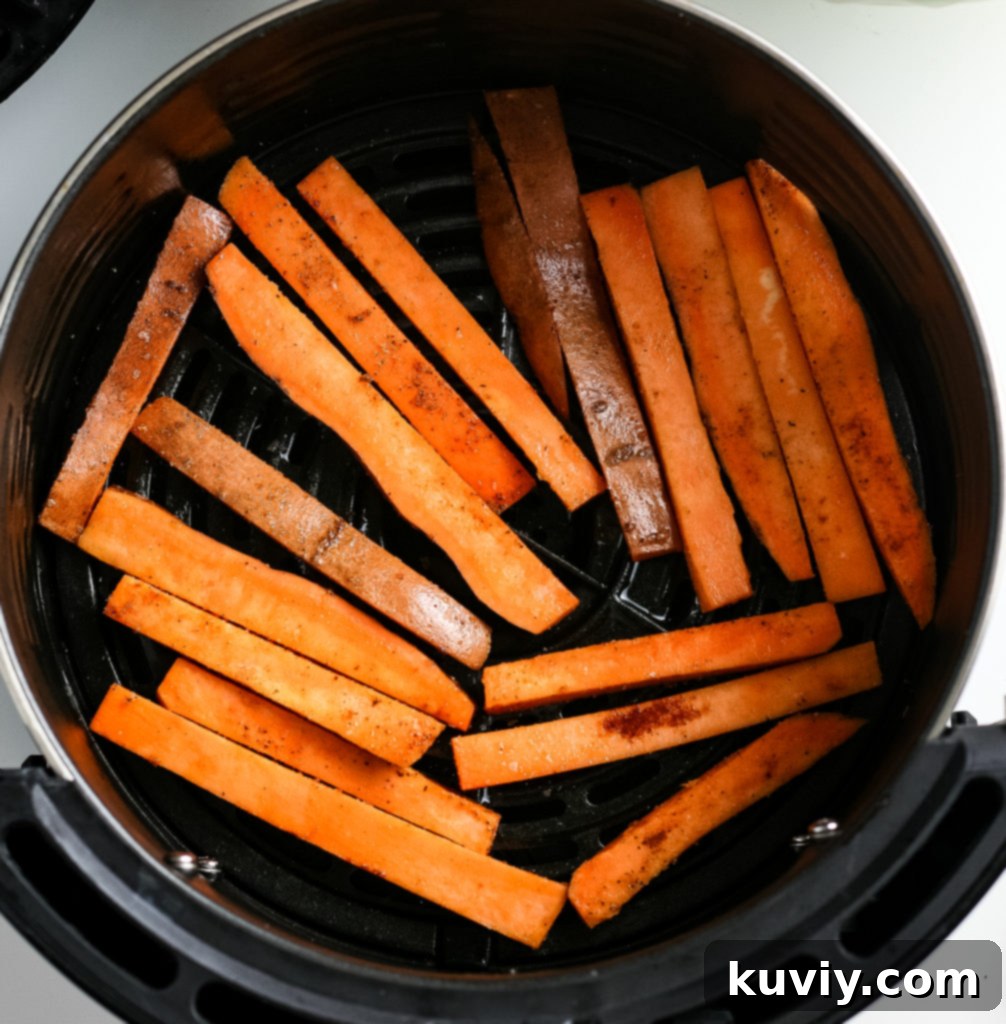 air fryer sweet potato fries
