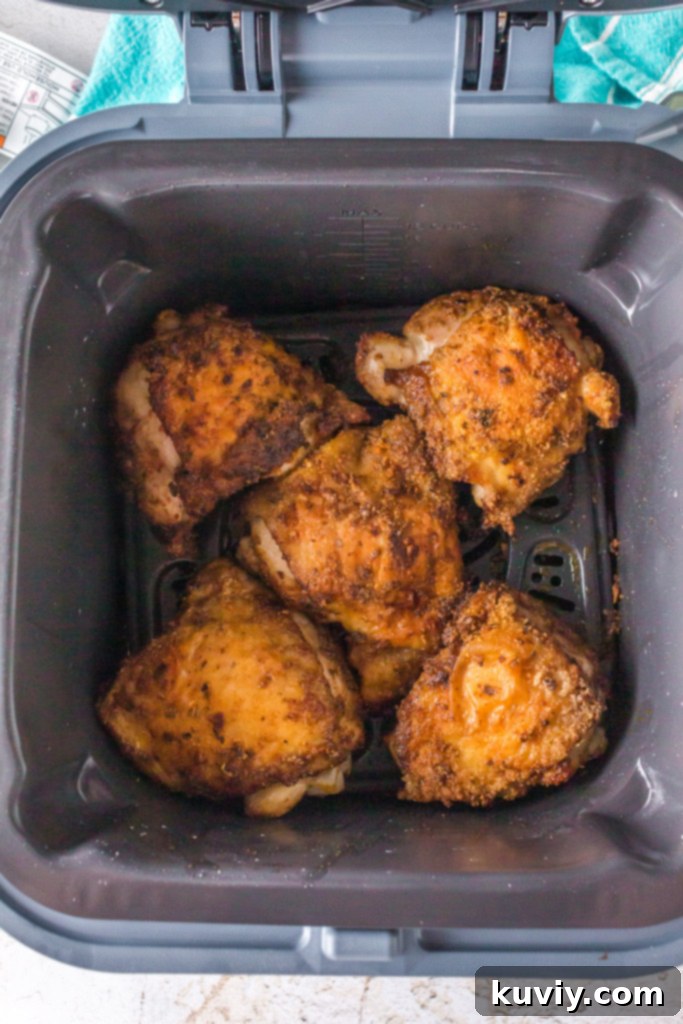 ninja speedi jerk chicken