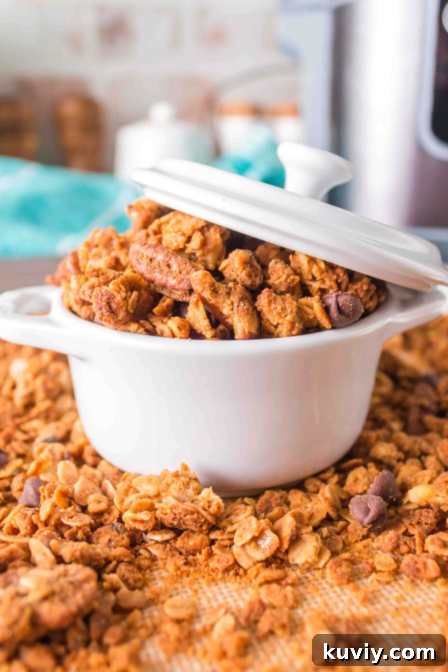 Air Fryer Granola