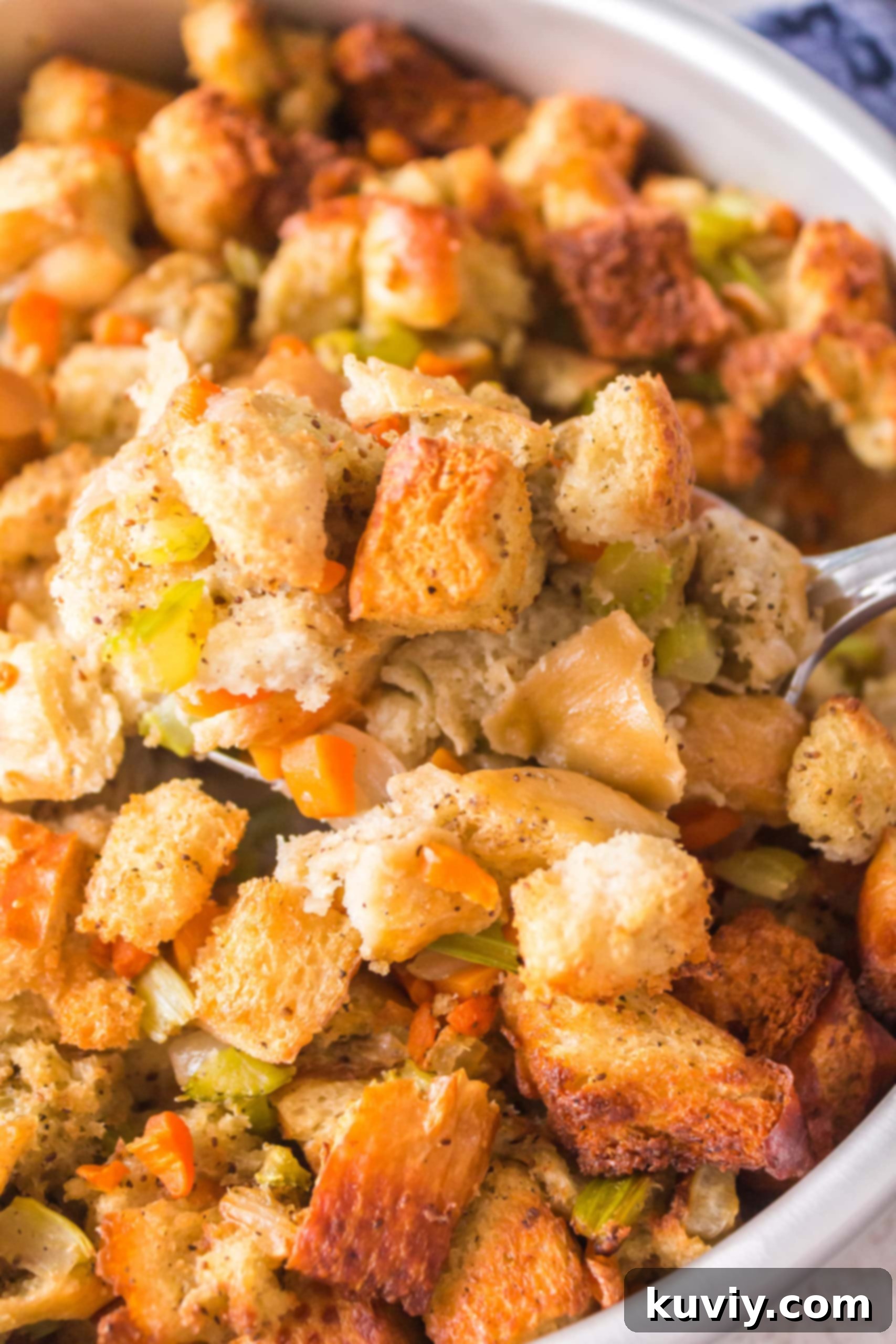 Ninja Foodi Stuffing