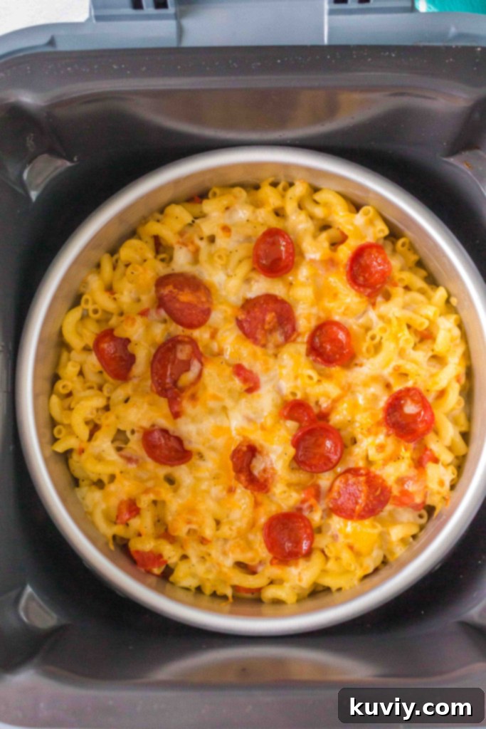 ninja speedi pizza pasta