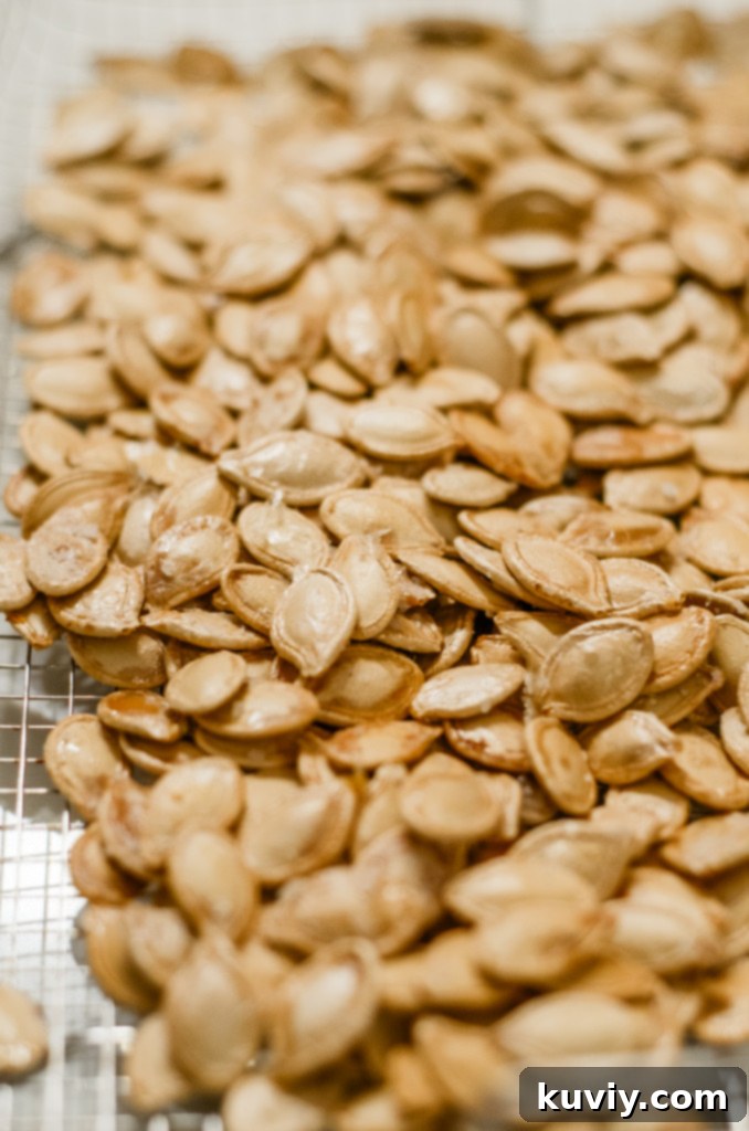 Crispy Air Fryer Pumpkin Seeds 2 air fryer pumpkin seeds