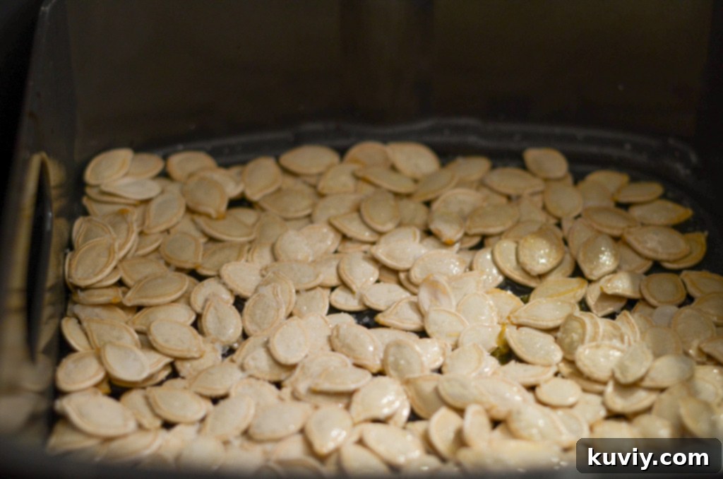 Crispy Air Fryer Pumpkin Seeds 4 air fryer pumpkin seeds