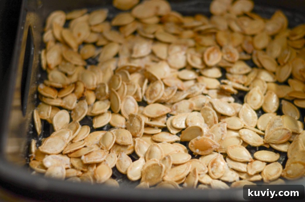 Crispy Air Fryer Pumpkin Seeds 5 img 9828 4