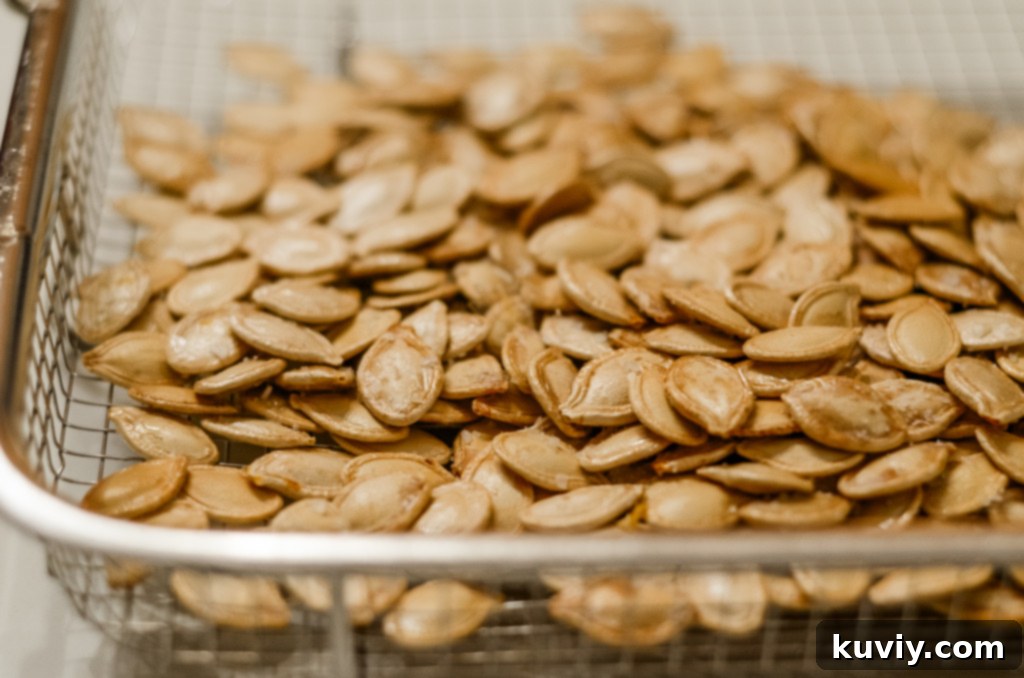 Crispy Air Fryer Pumpkin Seeds 6 air fryer pumpkin seeds