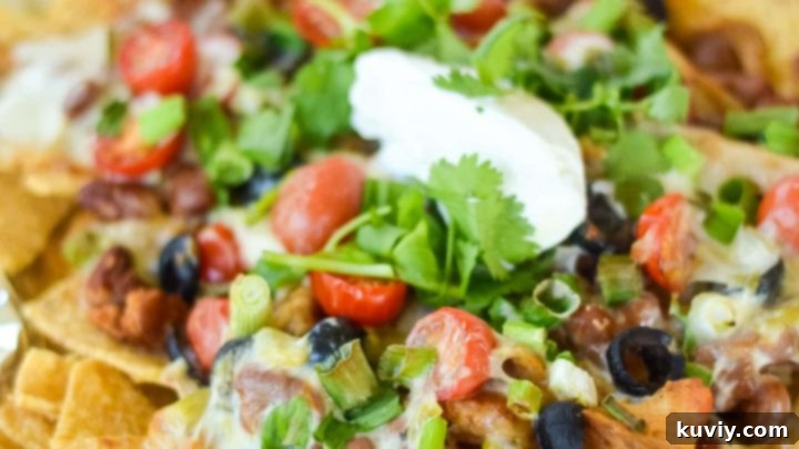 Air Fryer Plate Nachos