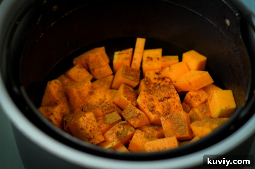 air fryer butternut squash