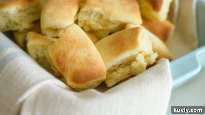 Air Fryer Frozen Dinner Rolls