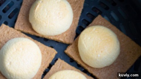 Air Fryer S'mores