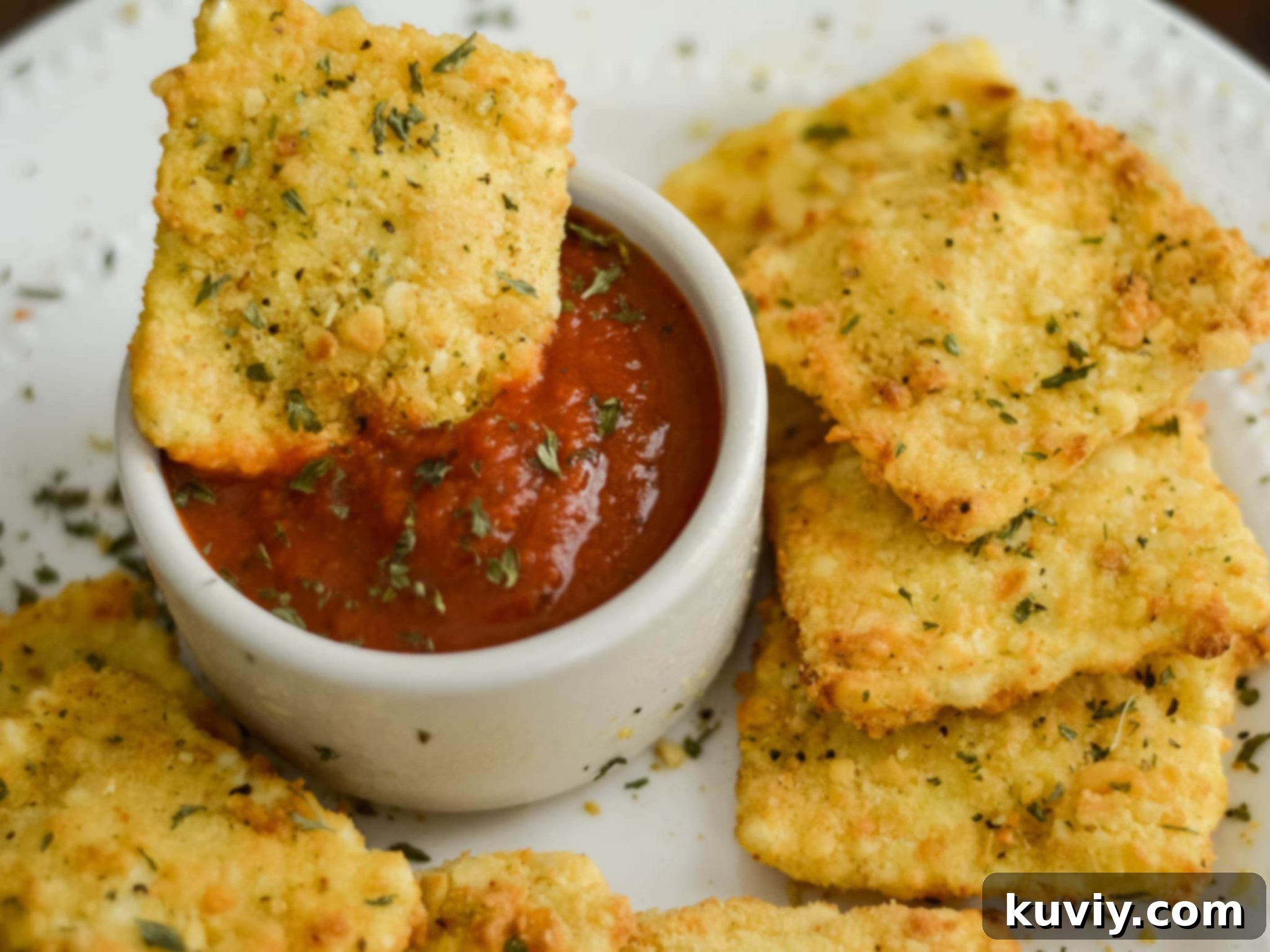 Ninja Air Fryer: 30 Fast & Flavorful Recipes 12 Air Fryer Fried Ravioli