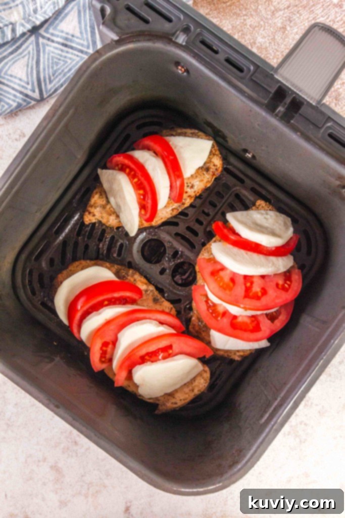 Ninja Air Fryer: 30 Fast & Flavorful Recipes 3 Ninja Air Fryer Chicken