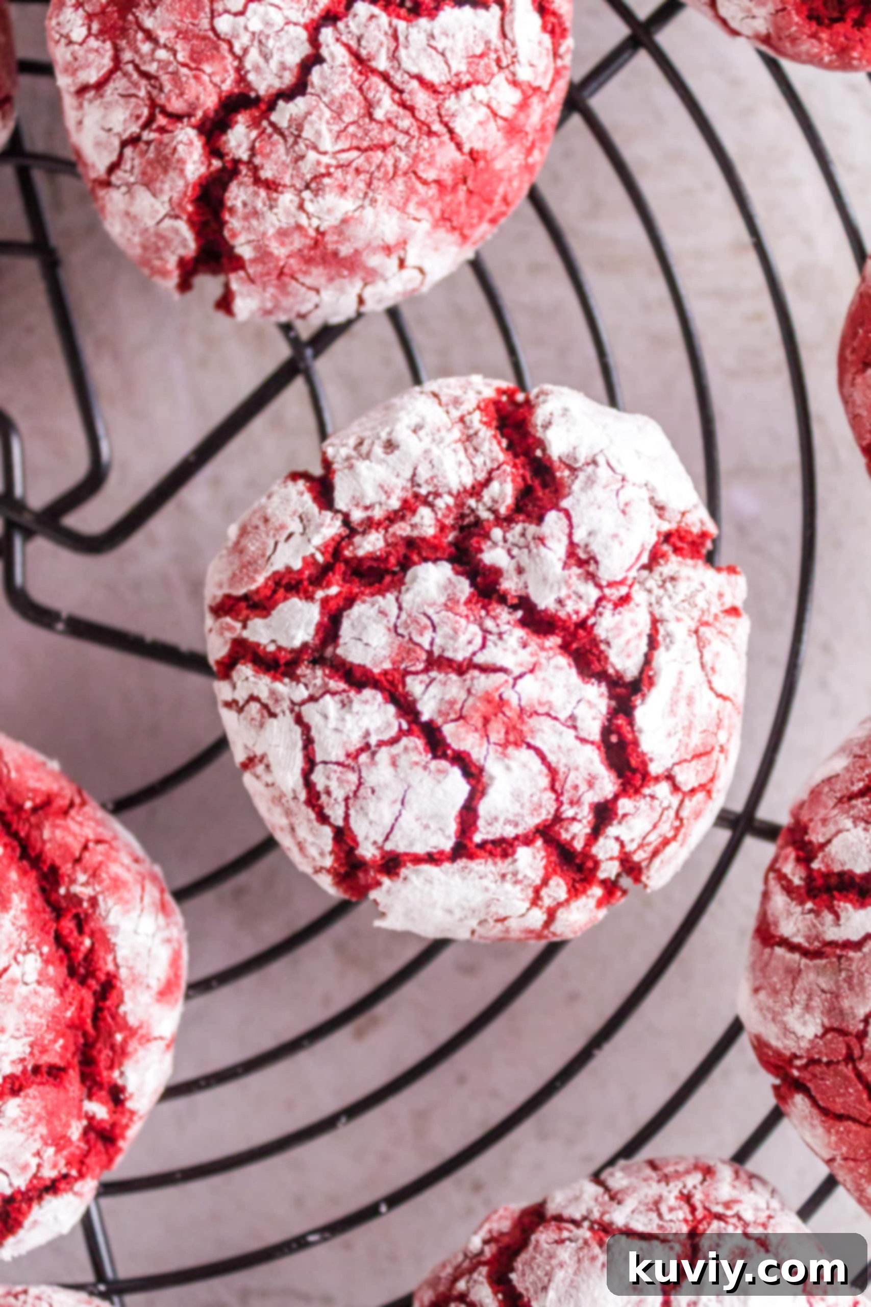 Ninja Air Fryer: 30 Fast & Flavorful Recipes 28 Air Fryer Red Velvet Crinkle Cookies
