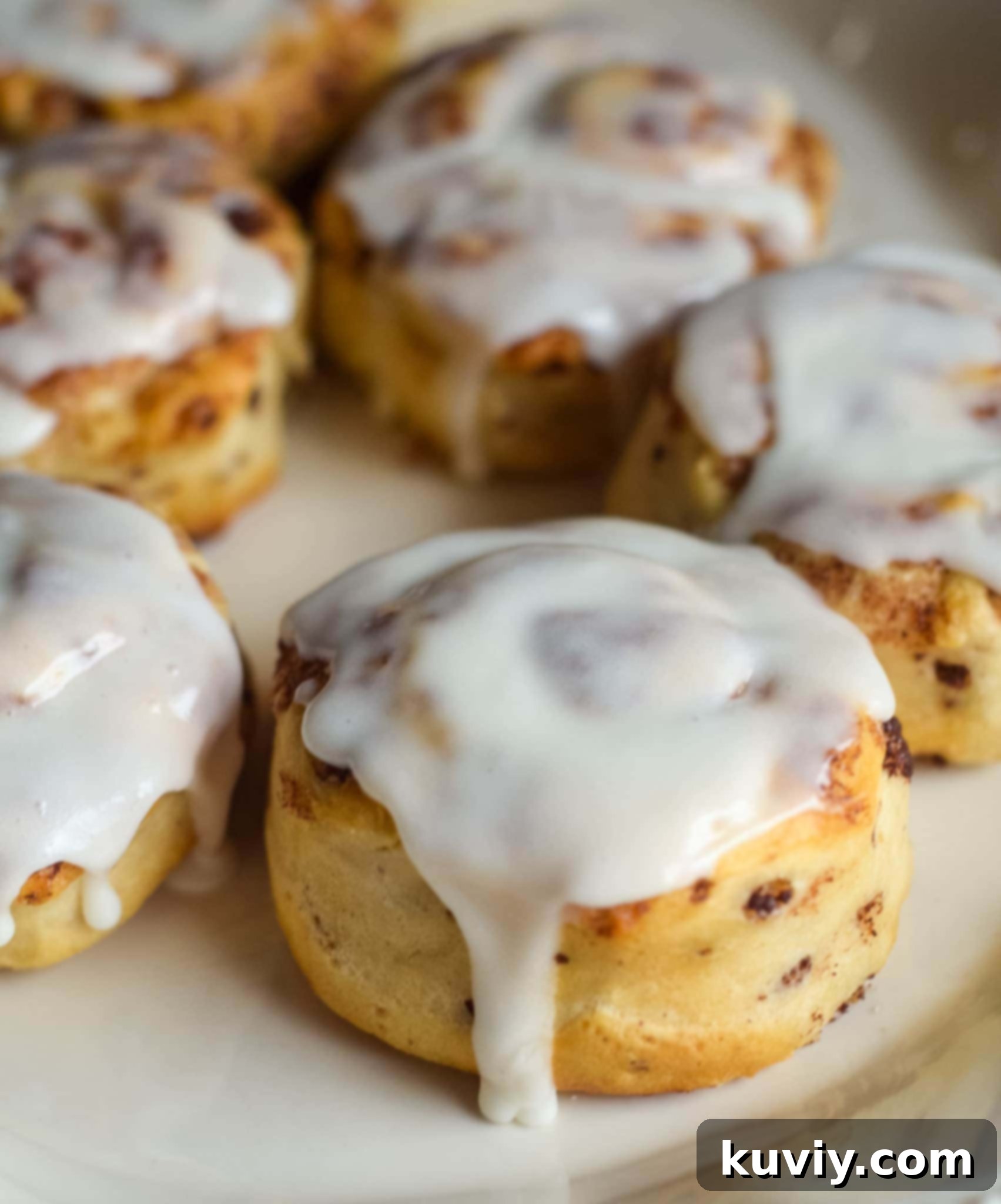 Ninja Air Fryer: 30 Fast & Flavorful Recipes 30 air fryer cinnamon rolls