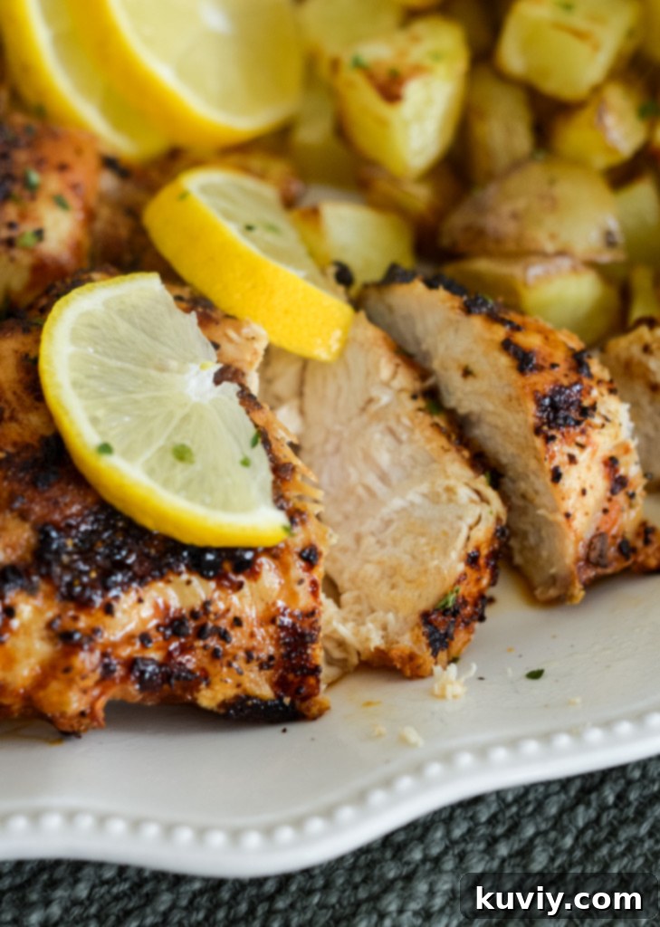 Ninja Air Fryer: 30 Fast & Flavorful Recipes 4 Air Fryer Lemon Pepper Chicken