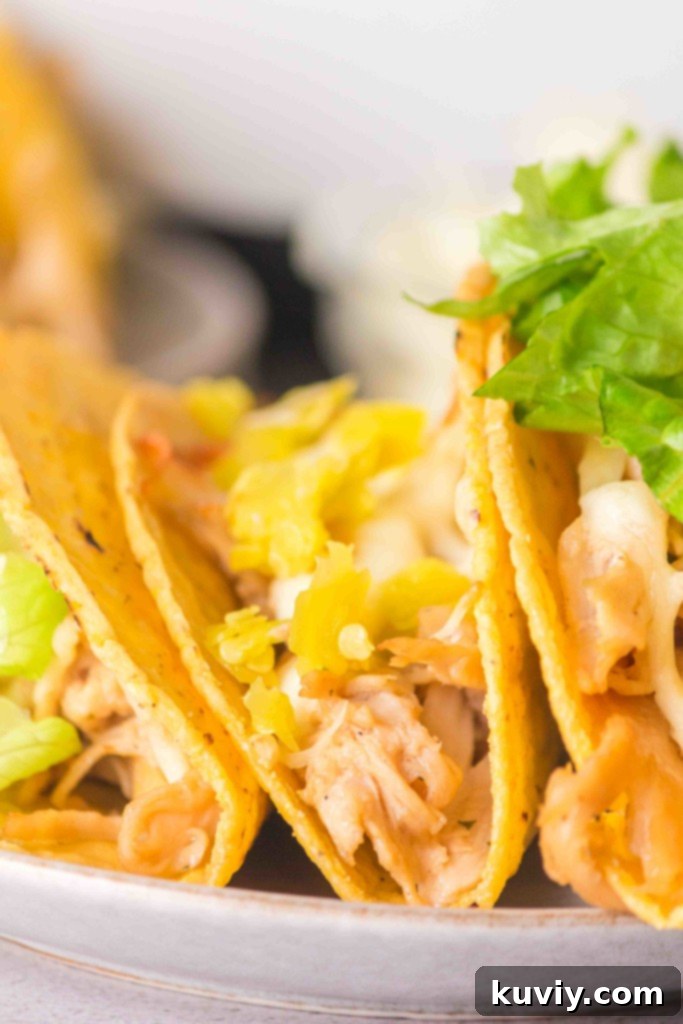 air fryer mississippi chicken tacos storage