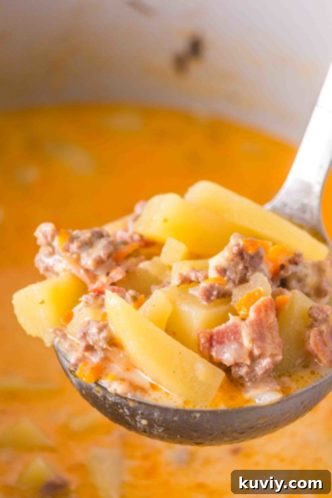 Ninja Possible Cooker Functions