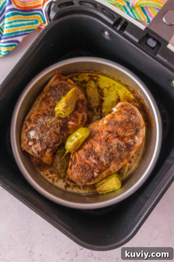 Air Fryer Mississippi Chicken: Ready in 20 Minutes 4 Air Fryer Mississippi Chicken Recipe - Tender Chicken Tips