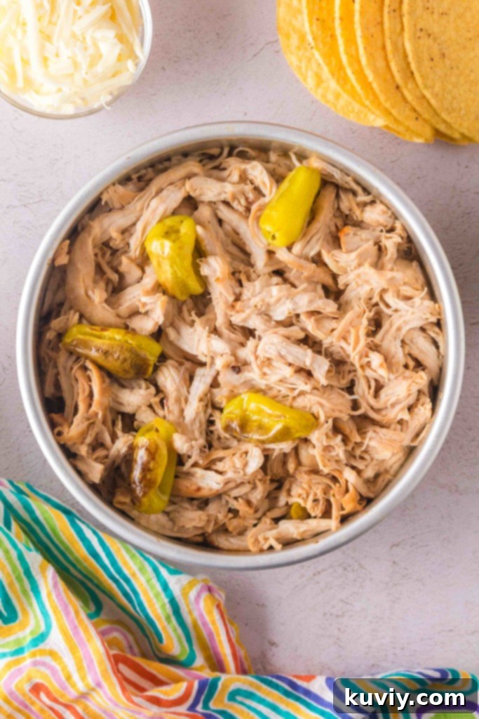 Air Fryer Mississippi Chicken: Ready in 20 Minutes 5 Air Fryer Mississippi Chicken Recipe - Leftovers