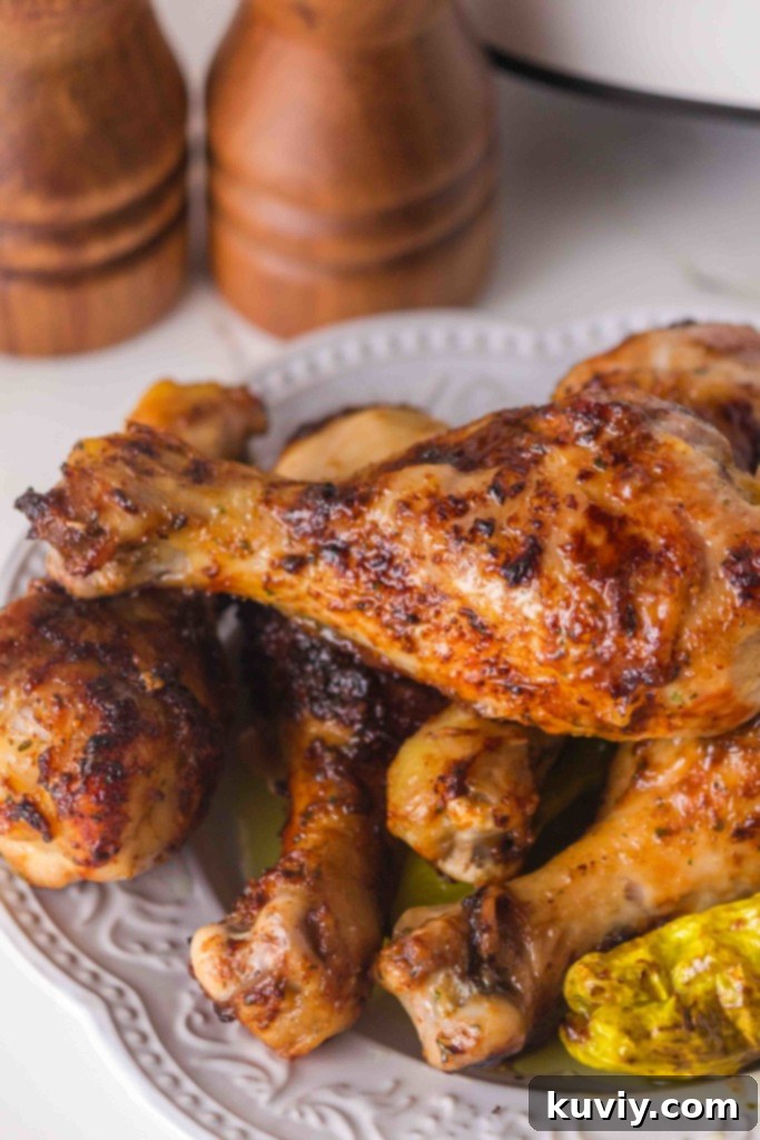 Budget-Friendly Air Fryer Mississippi Chicken Legs 7 More Air Fryer Chicken Drumstick Recipes